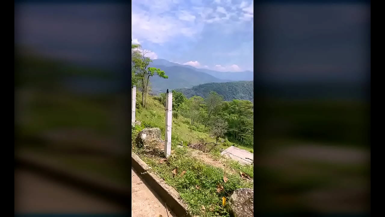 TS Angelique Monroe - A horny morning in the rainforest.