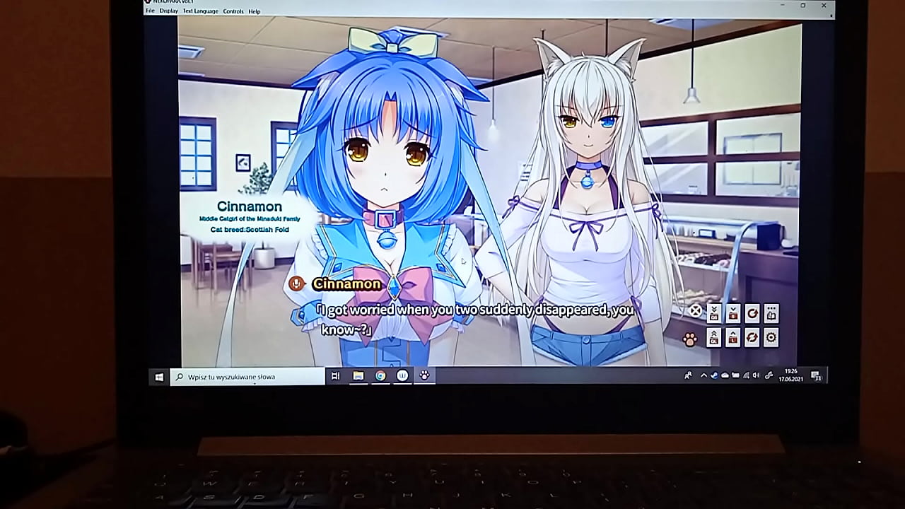 Nekopara *VERY LEWD*