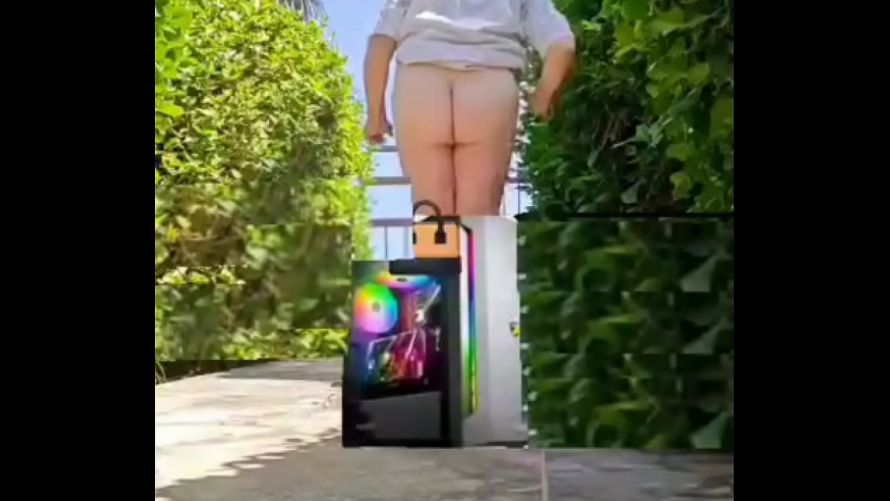 Zea812 - update #111 - 1000050423 - May 20, 2025