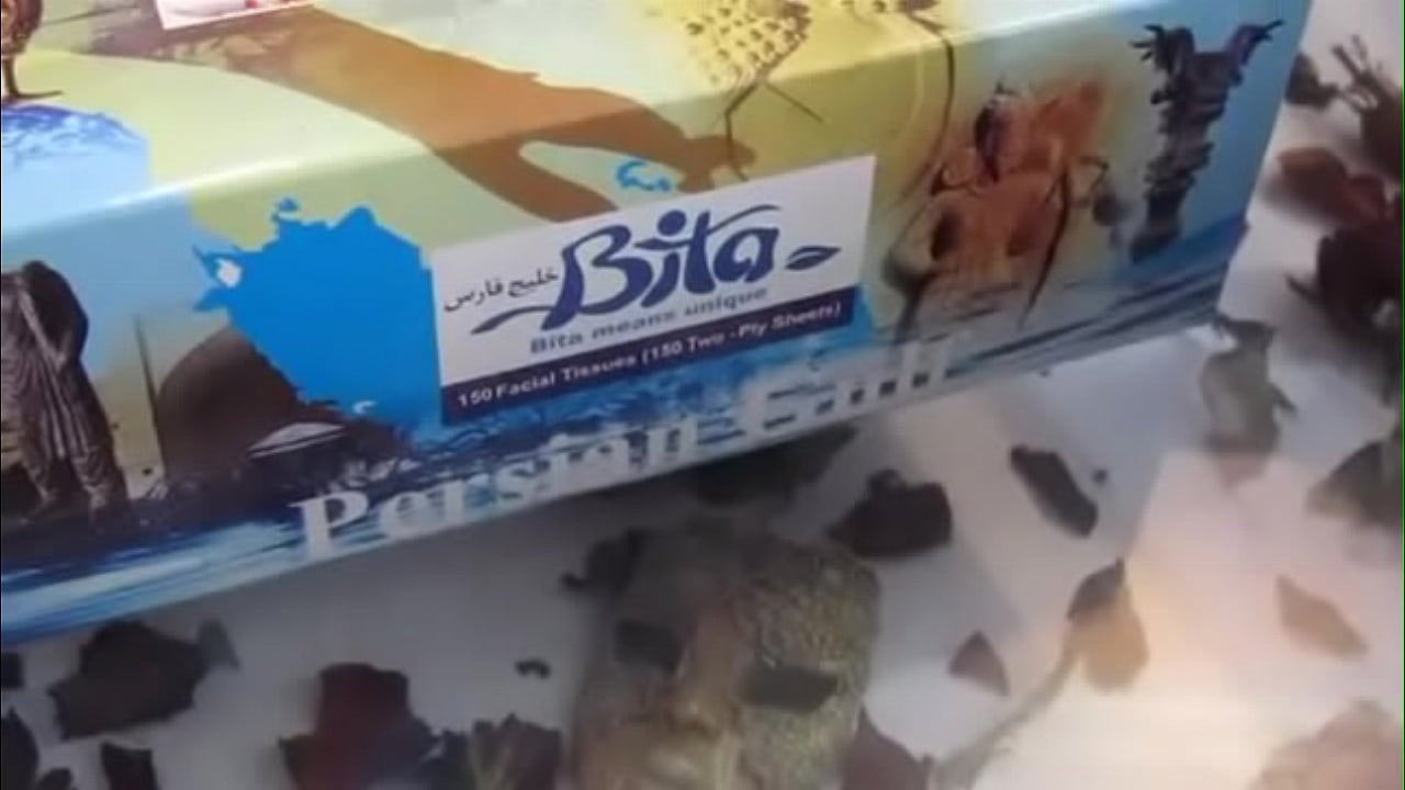 xvideos.com 2ed0f01aa18526610d62e581ce083ec5