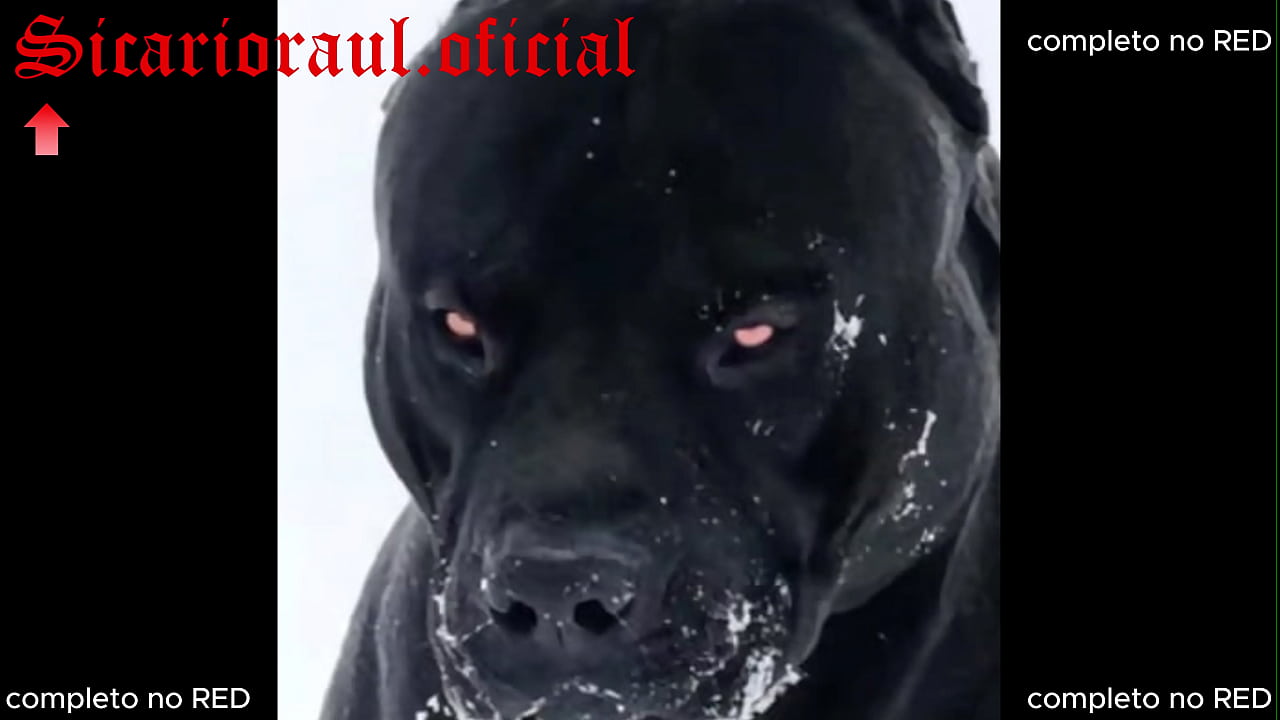 Tr&ecirc;s casadas saem escondidas dos maridos pra ter uma noite sozinhas, as tr&ecirc;s putinhas safadas v&atilde;o se beber e se chupar a noite toda, cheias de fogo na buceta