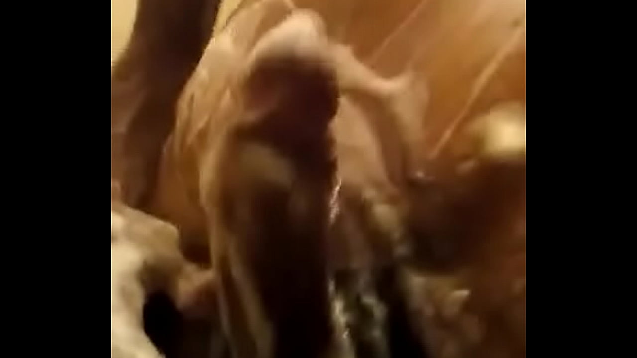 La verga del mayate de ocuilzapotlan