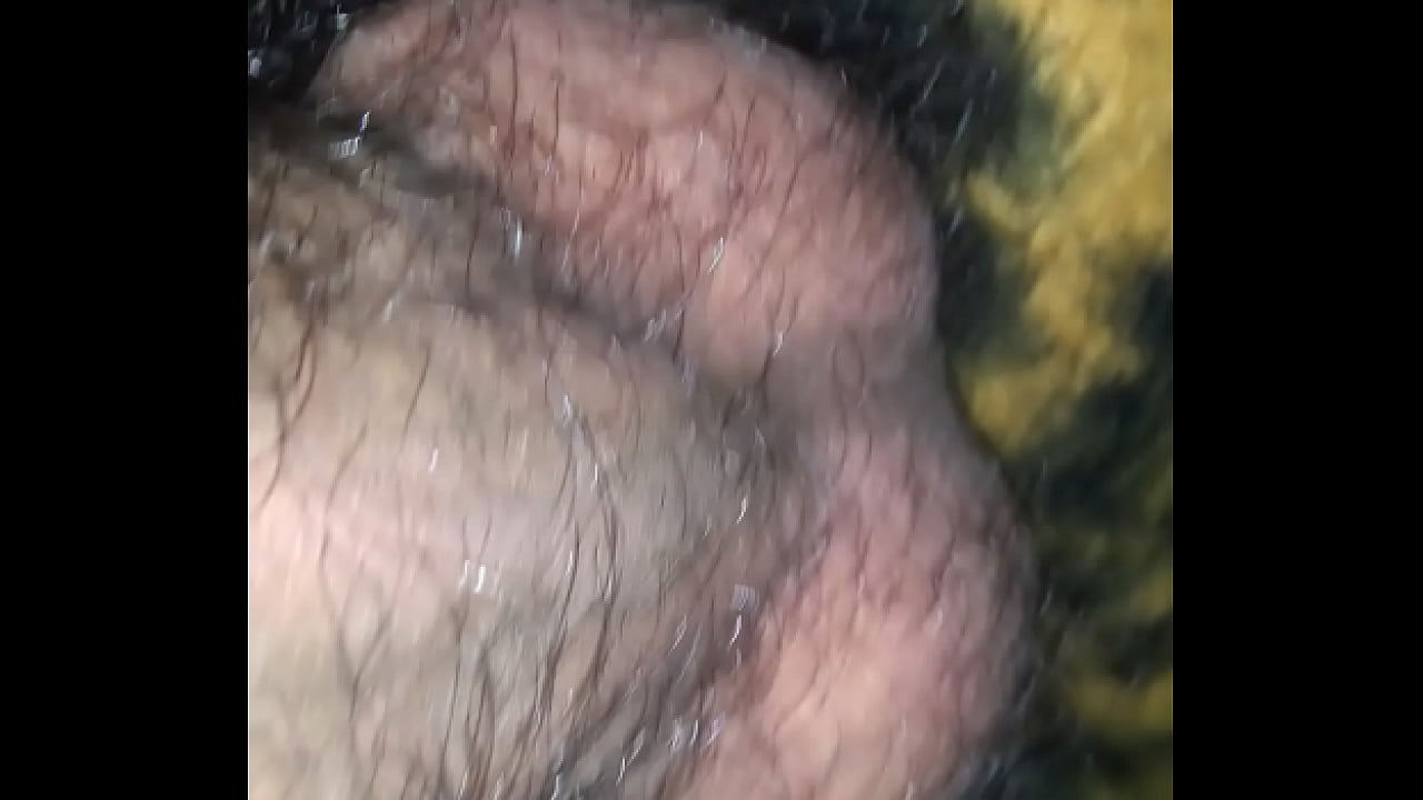 Mostrando as bolas peludas