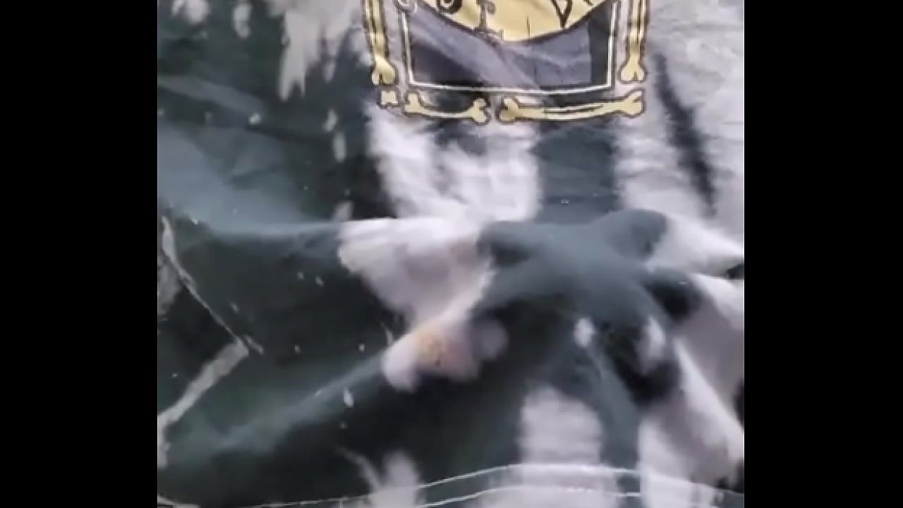 Am I wearing anything underneath? #Femboy #Sissy #girlcock #Bulge