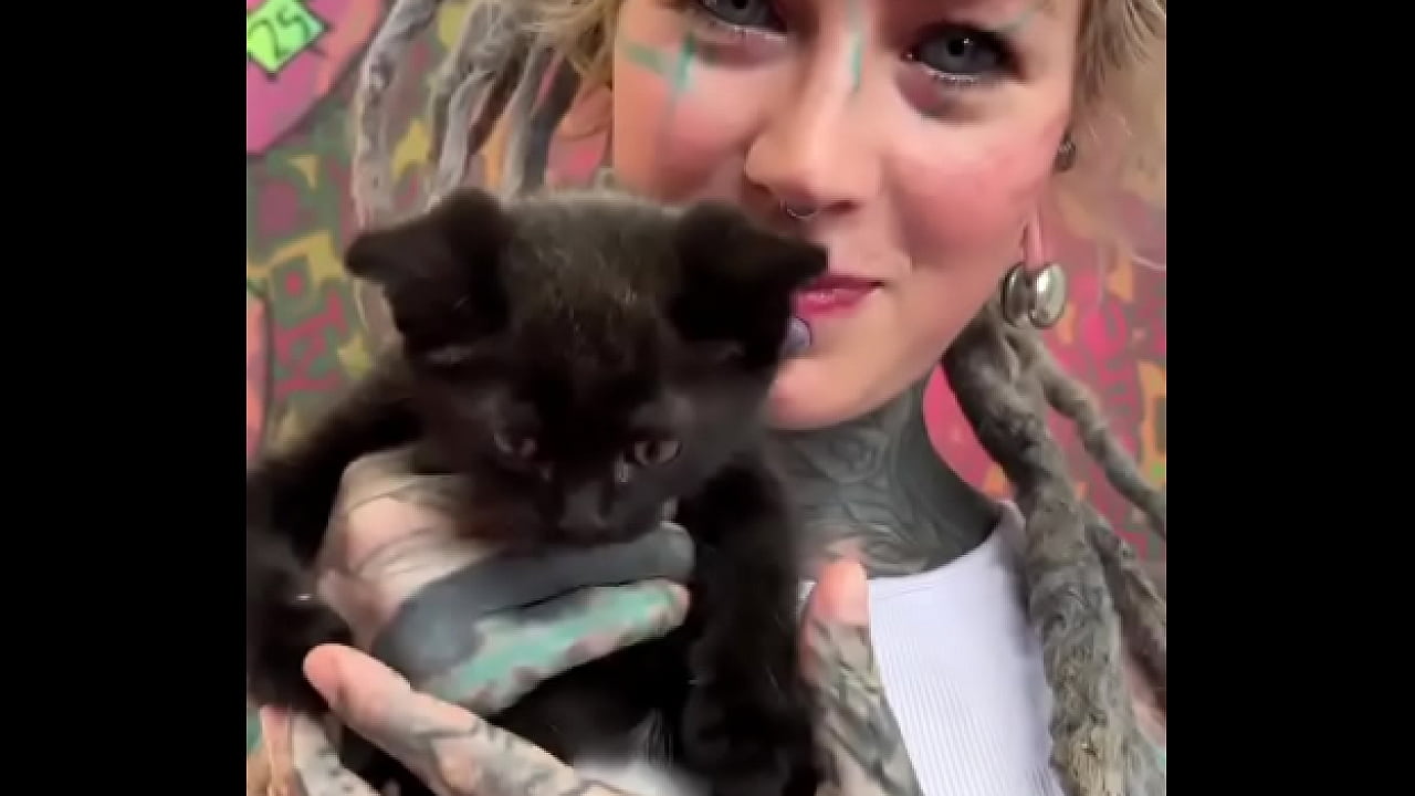 Kittens, kittens, kittens! ?What&rsquo;s your favorite kitten moment?#KittenObsession #Furry #CuddleBuddies #InkedMode...