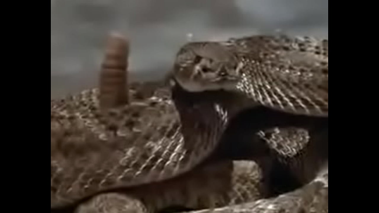 Chennai Profile Chennai Chennai