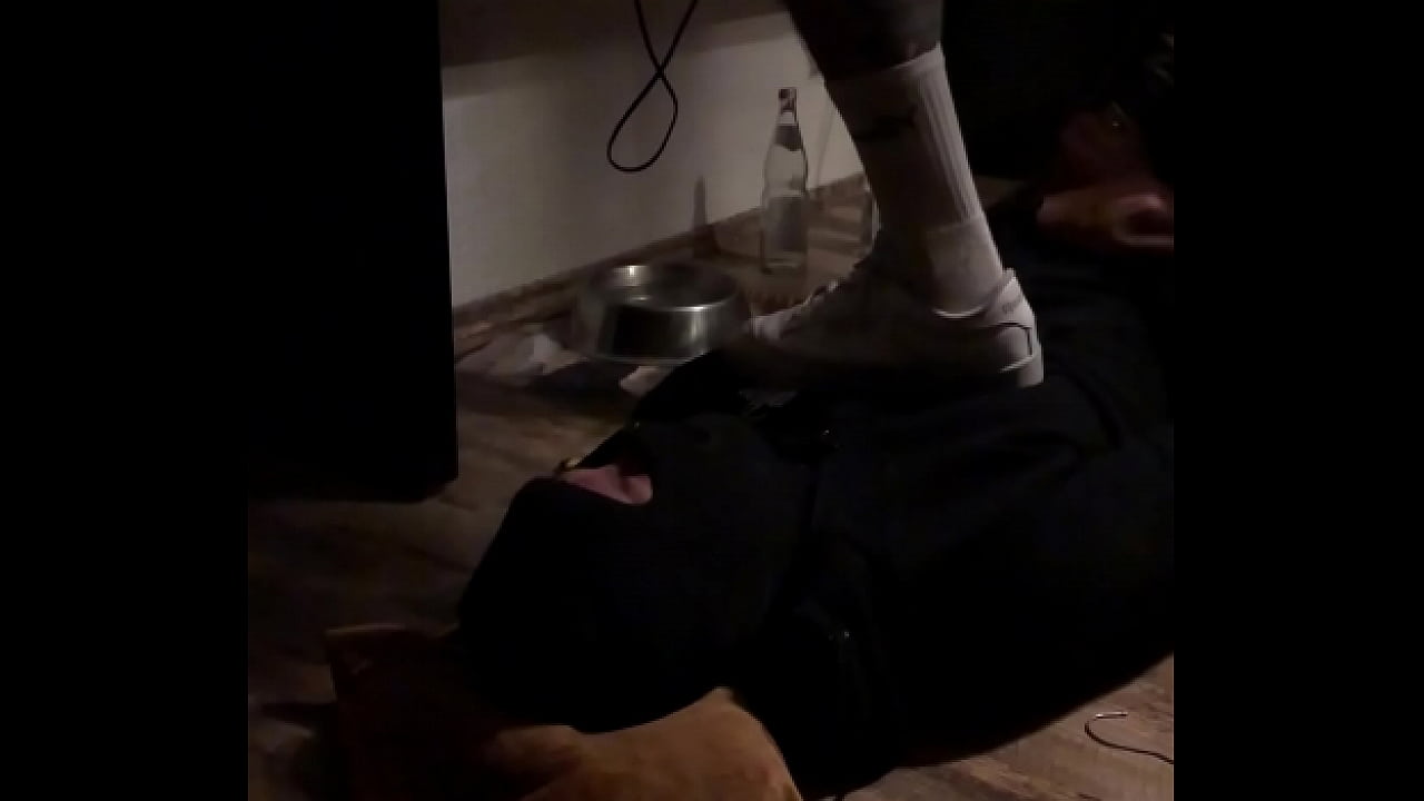 agressive trampling on the human doormat