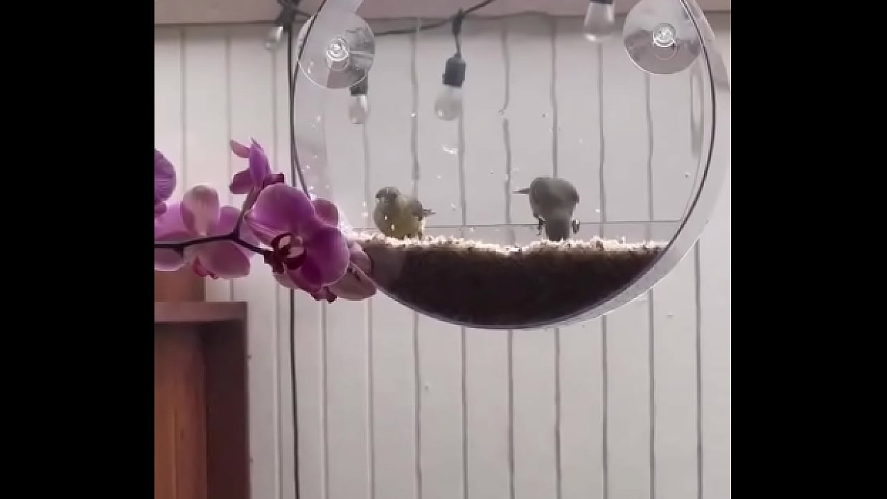 I&rsquo;m obsessed with this ?️