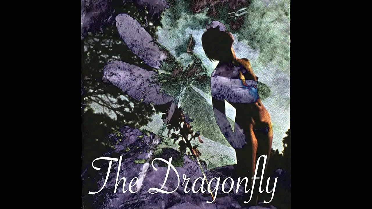 The Dragonfly