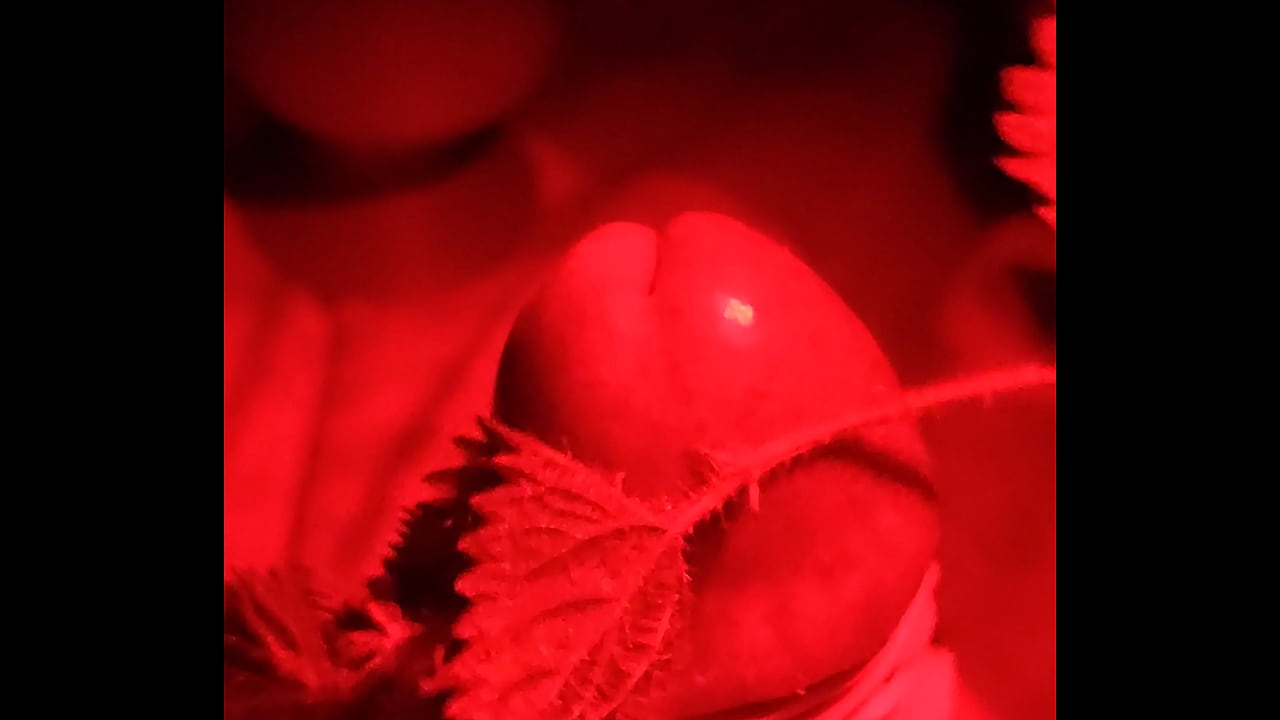 Ifoslave bands and my cock