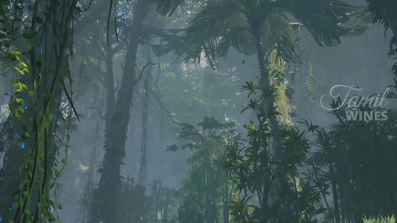 Tamil Winez Forest Fucking Party Ended with a Creampie