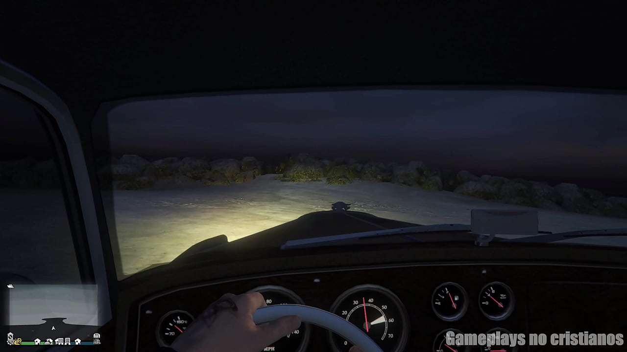 POV public sex beach in GTA Online