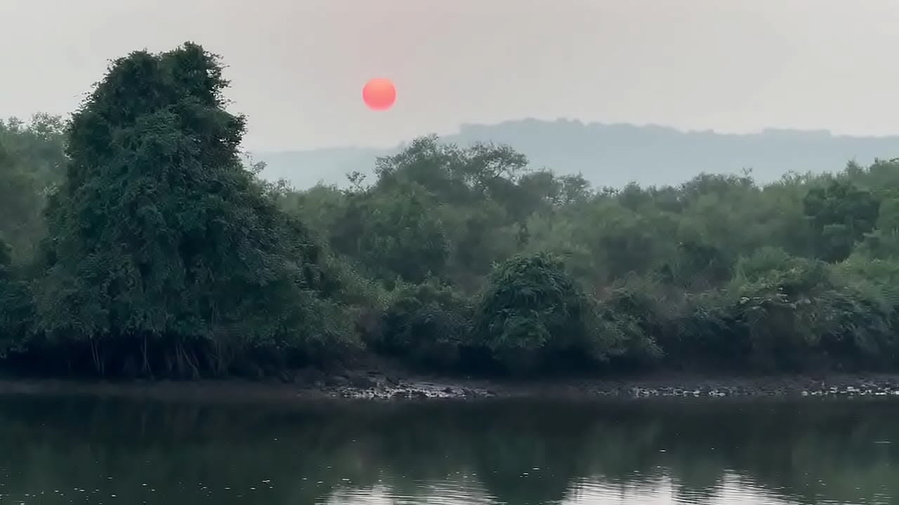 Мне очень нравятся индийские традиции , запах хны это запах Индии