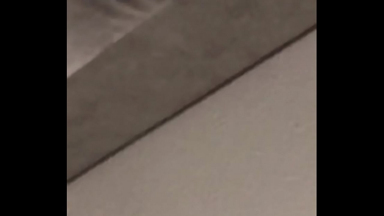 Cleaning miss daisy gmail.com