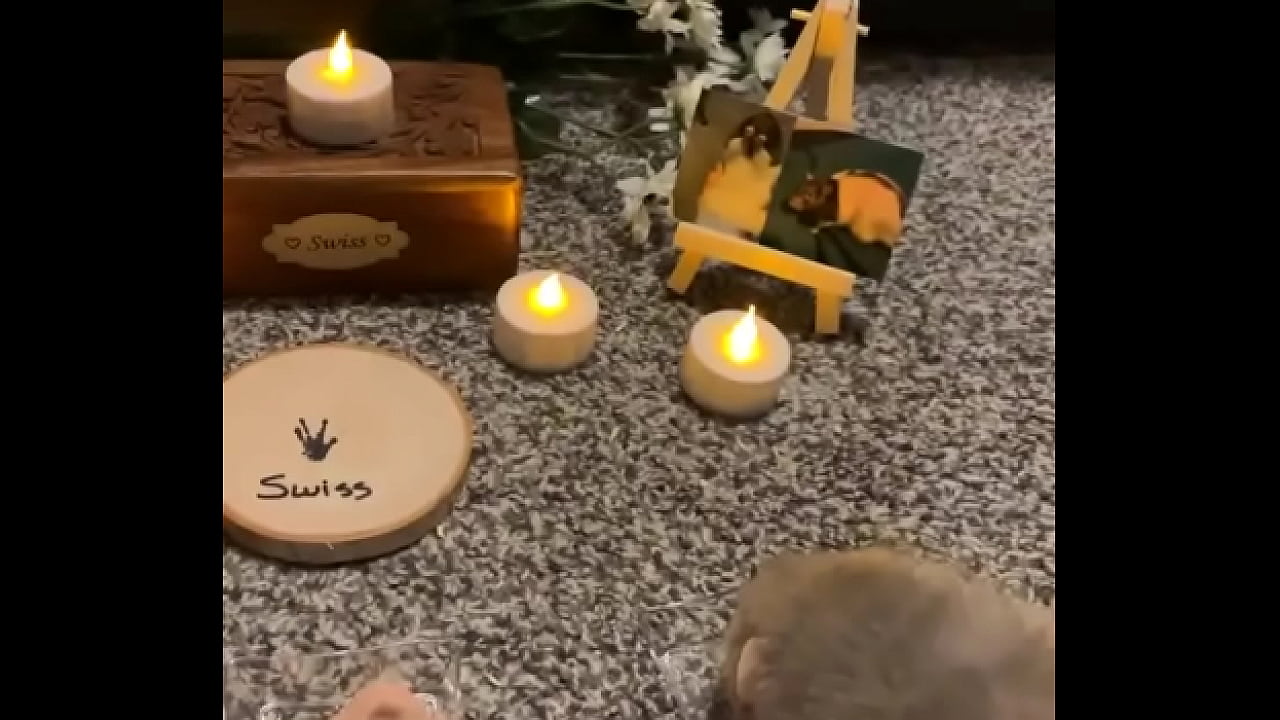 We had a mini funeral for my Swiss rat today