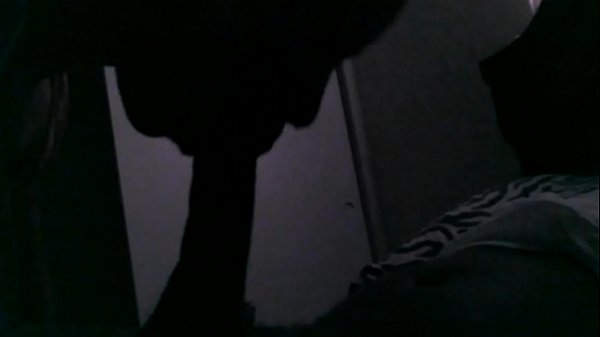 slurping on the dick