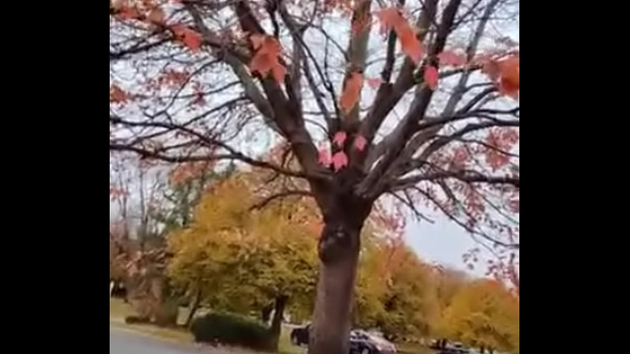 Cuming out for either June or October gay pride month about other gay looking and sounding things I did on social media once 12