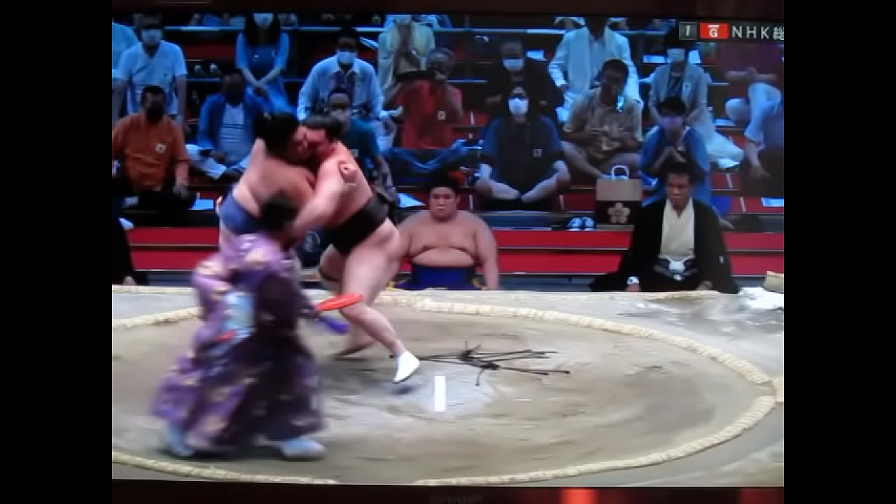 白鵬の八百長相撲　800万円