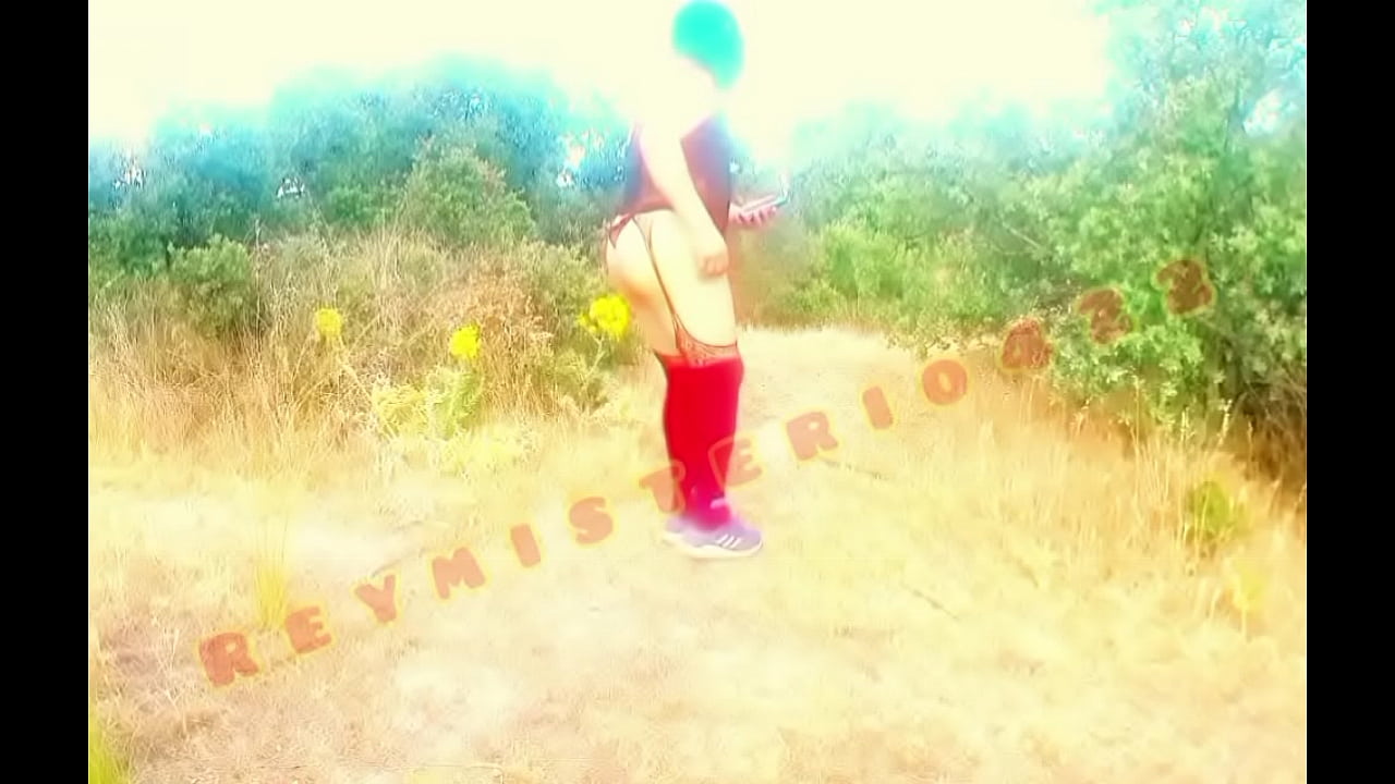 Reymisterio422 - Paseo por el Campo - 1000289340 - Mar 17, 2025