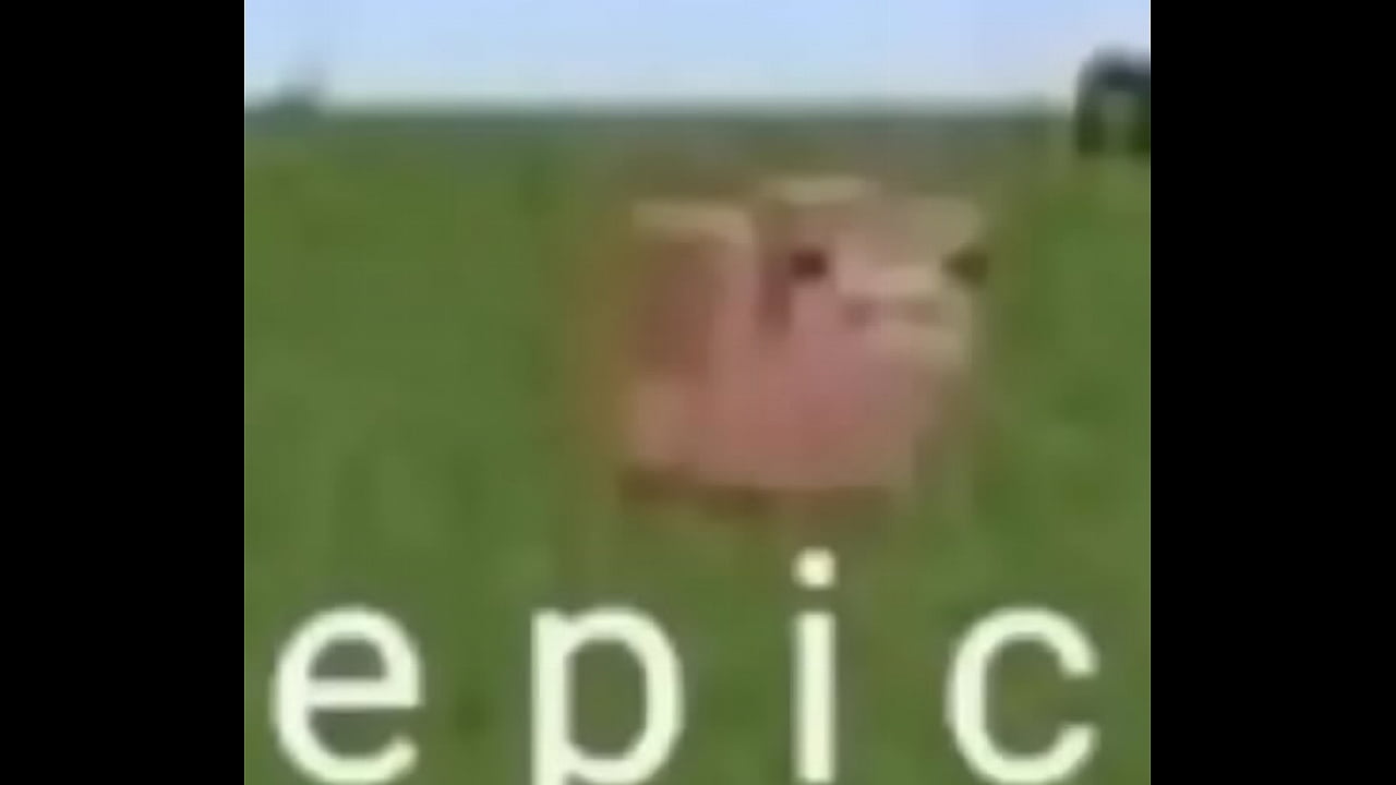 Tu mam&aacute; es mi novia