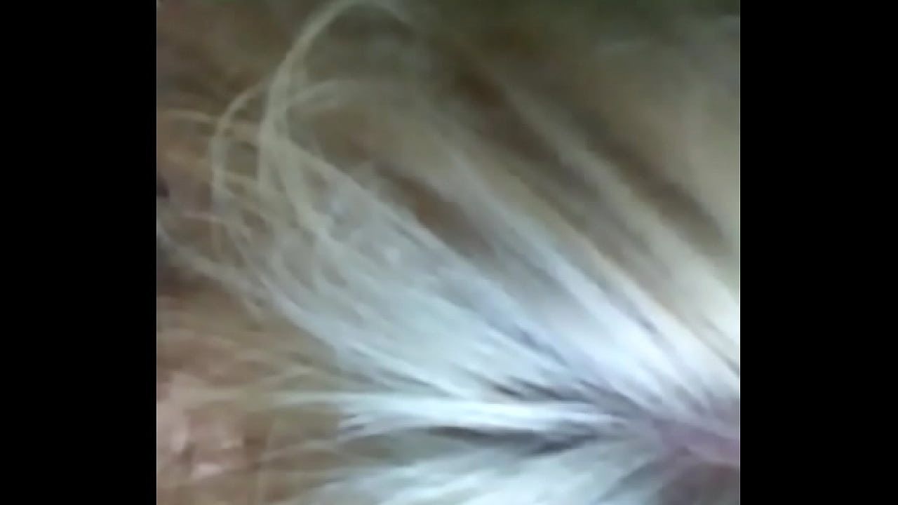 Pennsylvania slut milf pam sucking my cock