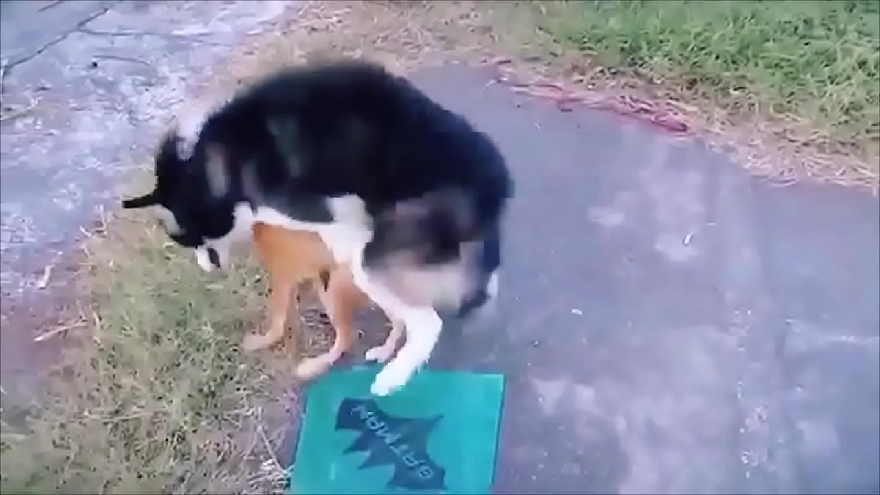 Las mejores noticias porno 7-13 octubre 2024