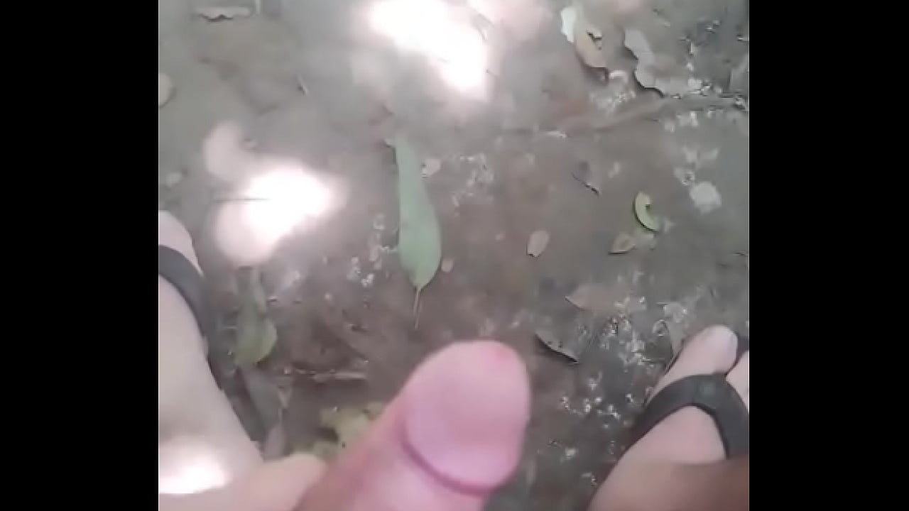 O pau escapando no shorts no parque.