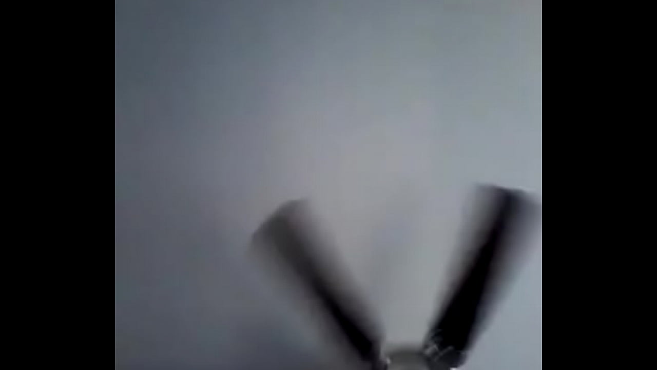 White dick black chick