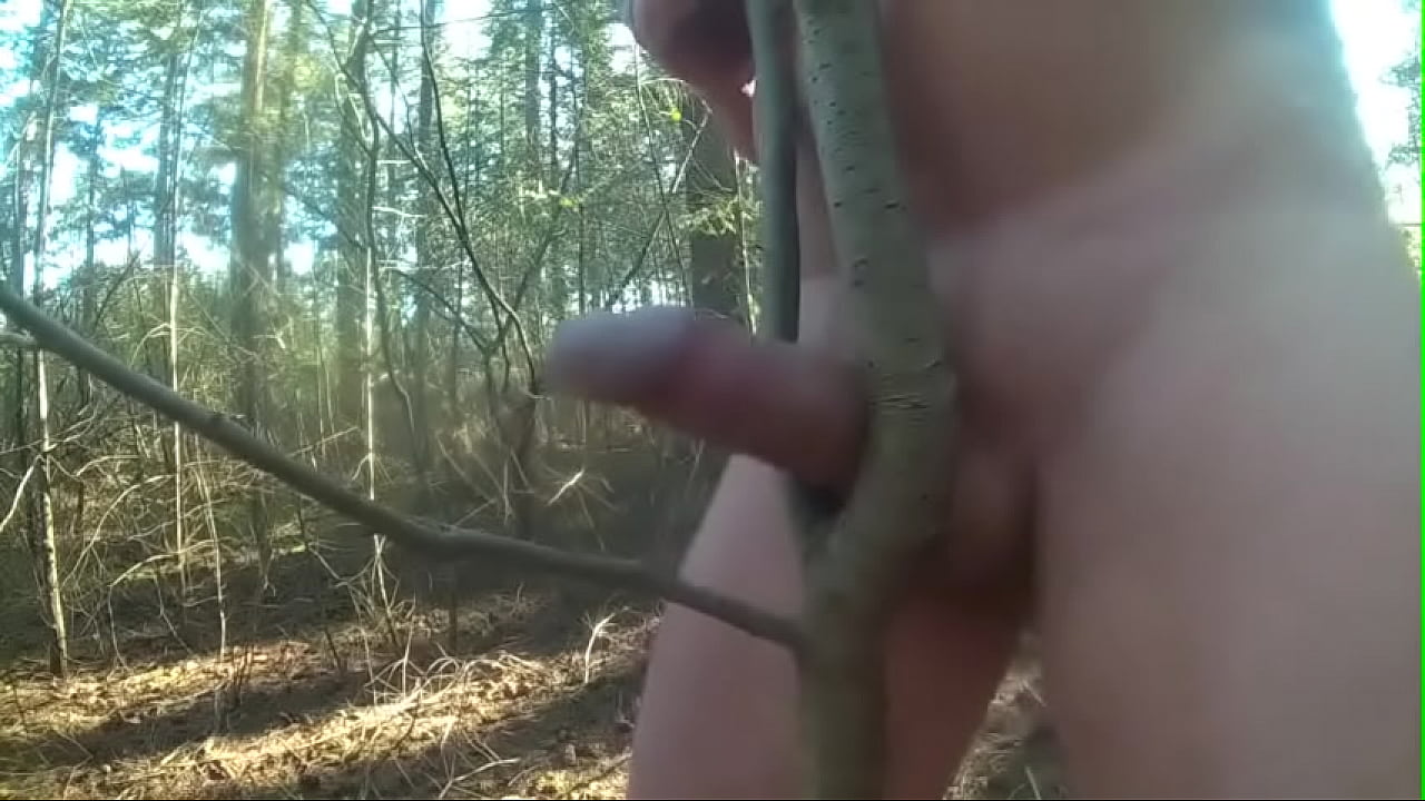 fuck tree deep forest