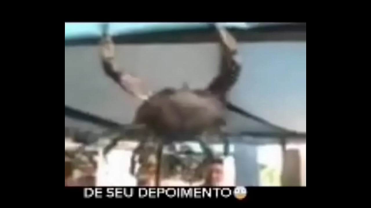 Senhor siri fazendo flex&otilde;es enquanto narrador fala