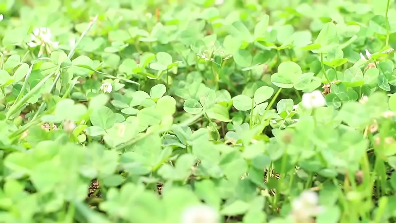 336KNB-068 full version https://is.gd/f84F0e　cute sexy japanese amature girl sex adult douga