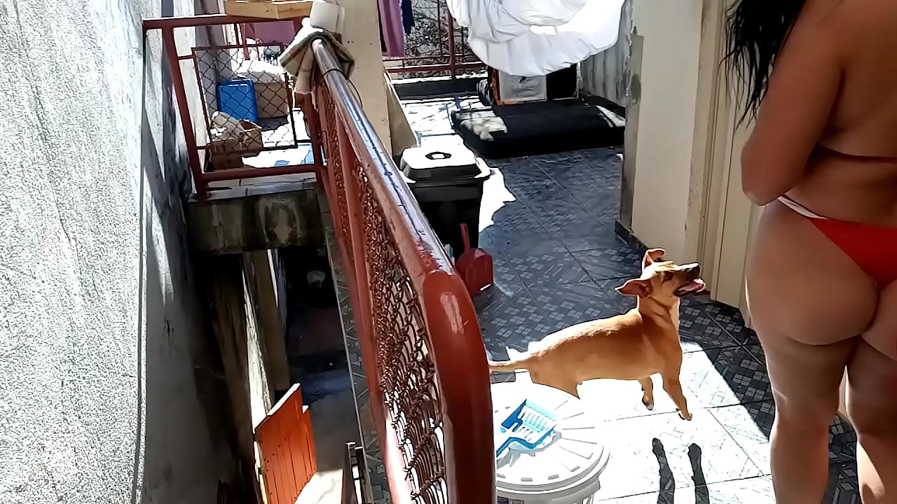 Sarah Rosa │ no Banho com Rog&eacute;rio ║  neste v&iacute;deo ela mostra como banhou seu gatinho Rog&eacute;rio