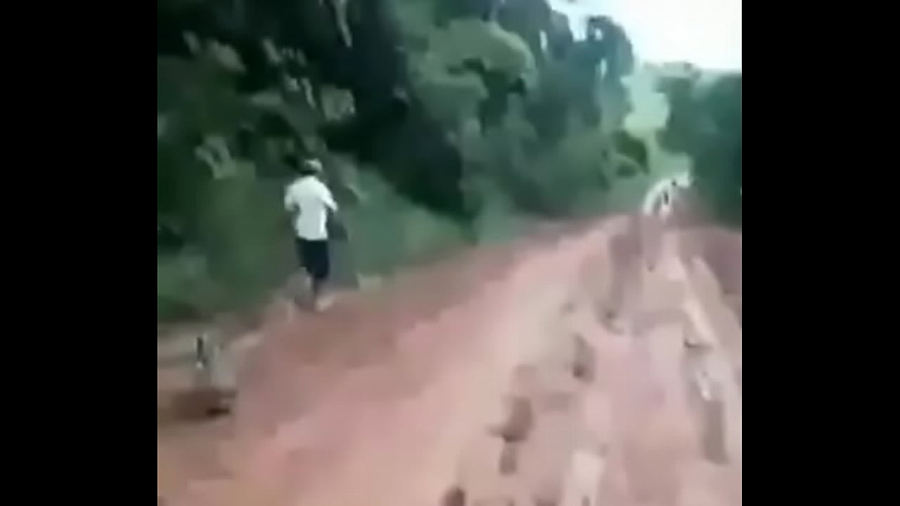 Escorrega na minha pica