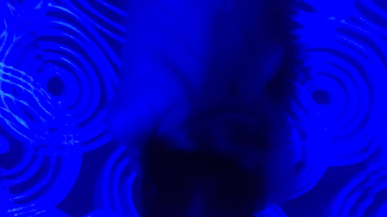 Una tarde muy caliente dandole por todos lados a Elian