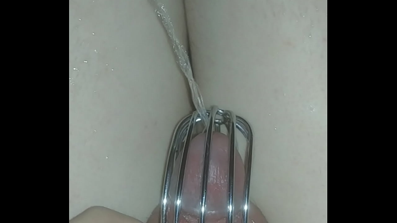 pissing chastity humiliation