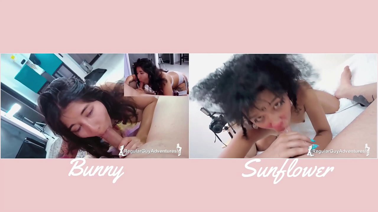 VERSUS#3 - BUNNY vs SUNFLOWER