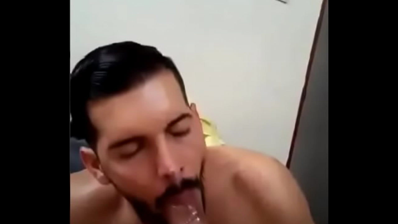 bezerr&atilde;o se alimentando