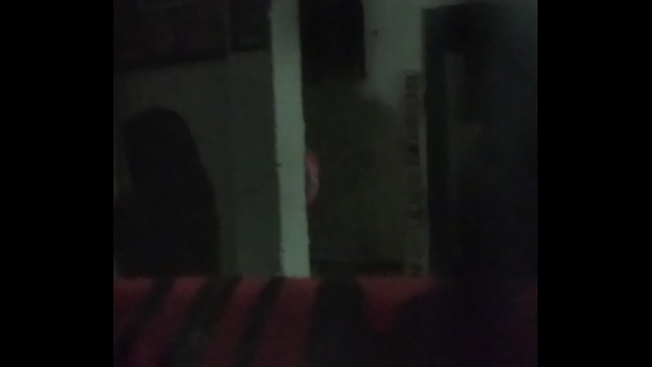 Sexy Veci aparece su gati