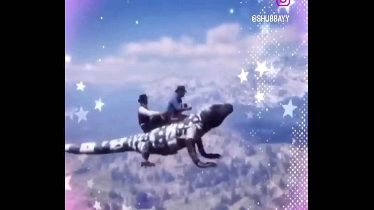 V&iacute;deo de verificaci&oacute;n