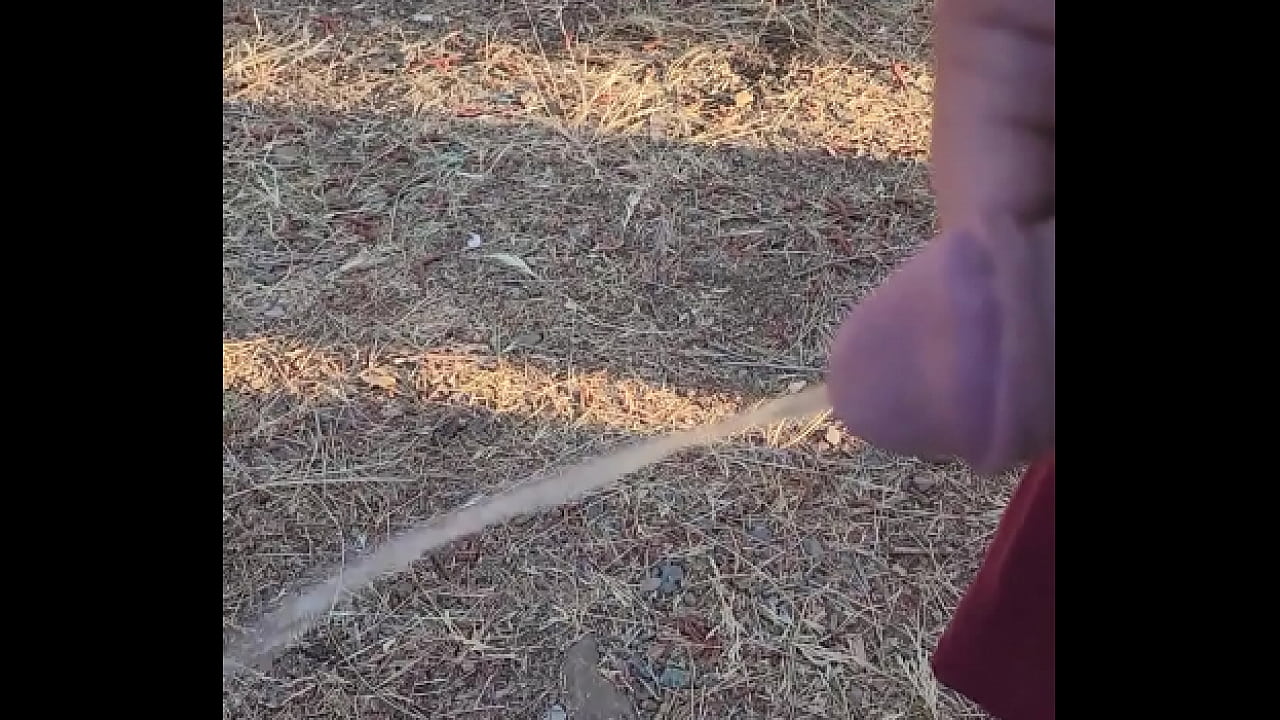 Kaso221 - outside pee
