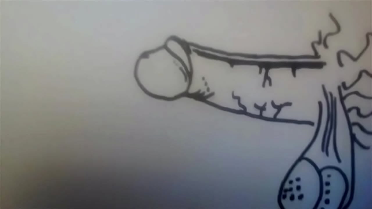 STOP MOTION CARTOON OF COCK WATCH AS THIS GUY COMES TO LIFE