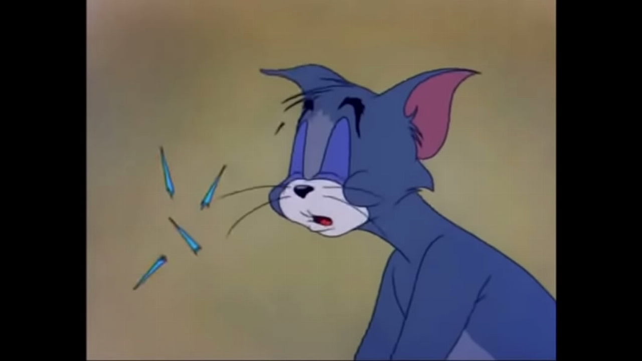 Video x&aacute;c minh