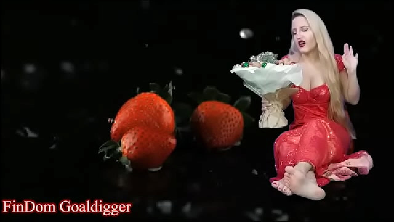 A story about paypig who lost his money