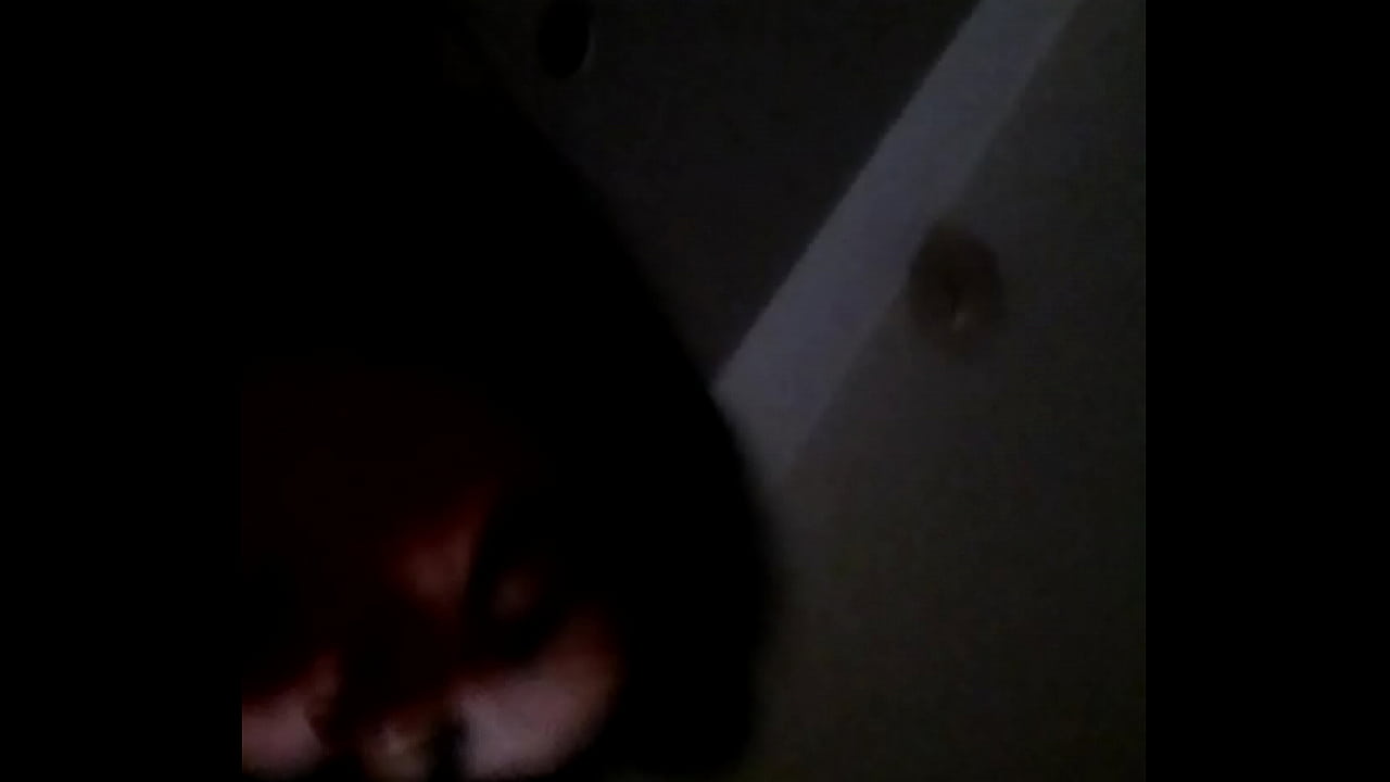 Vane en mi casa montada