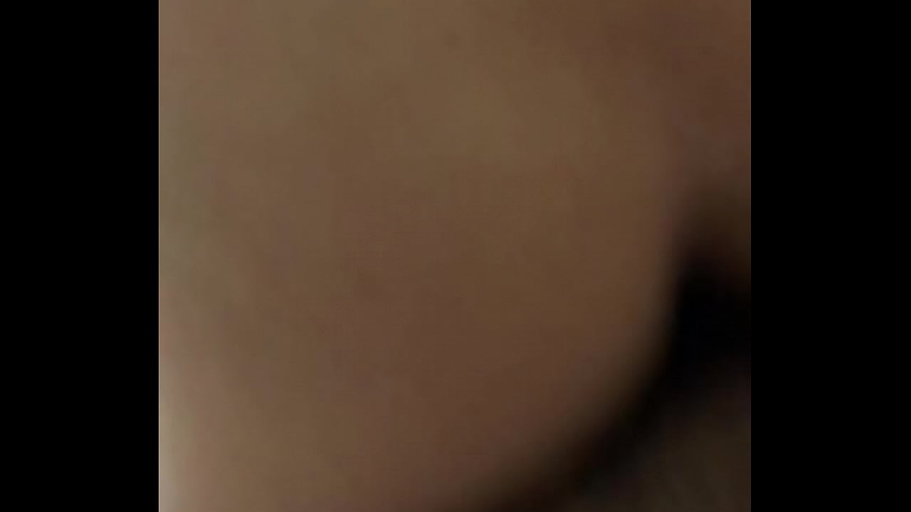 D&aacute;ndole de perrito