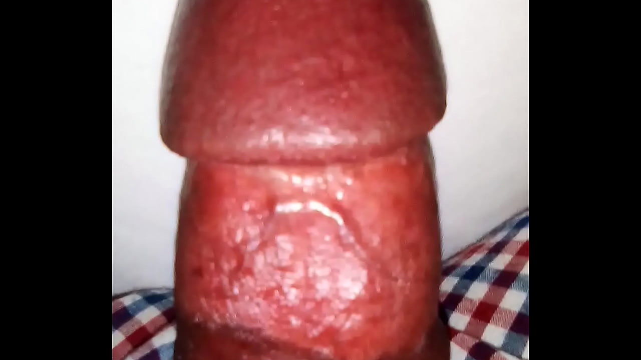penis examination
