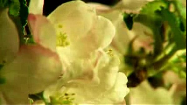 Neeye Nirantharam   &agrave;&reg;&uml;&agrave;&macr;&euro;&agrave;&reg;&macr;&agrave;&macr;&Dagger;