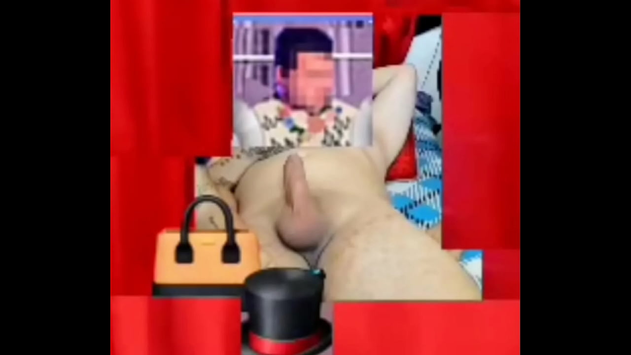 Zea812 - update #63 - 1000047435 - Apr 27, 2025