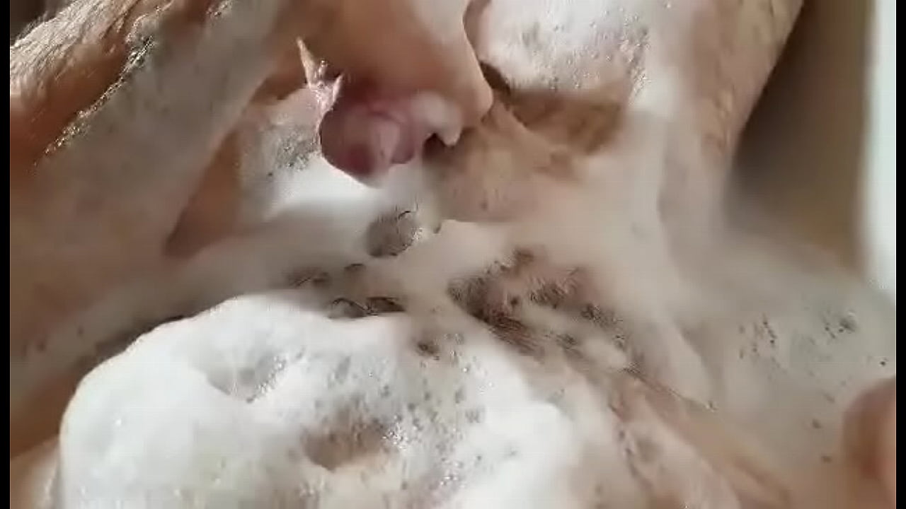 Ověřovac&iacute; video