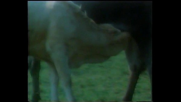 TRAILER CALIENTE NI&Ntilde;A JULIETA